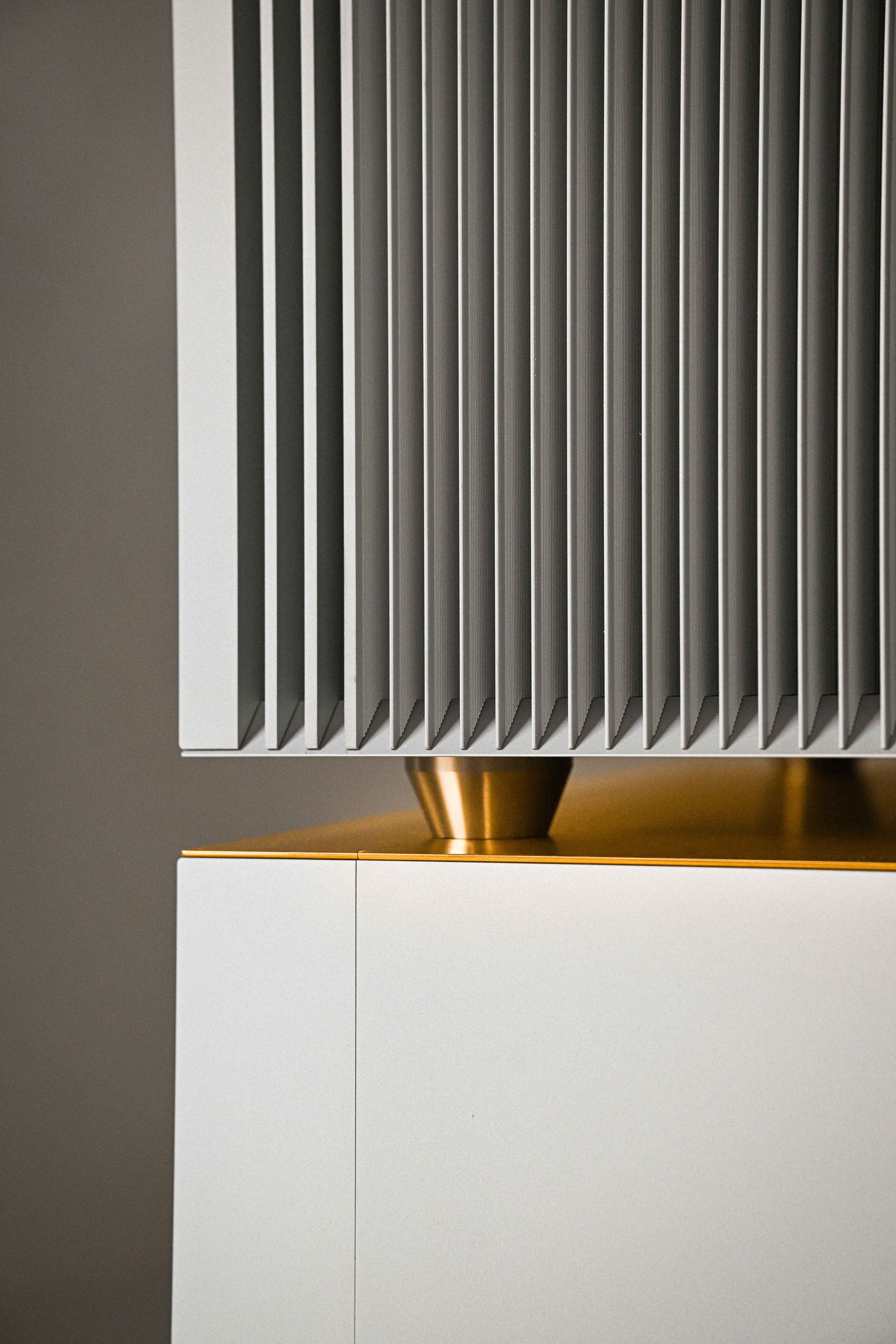 Goldmund Telos 9800 Mono Power Amplifier
