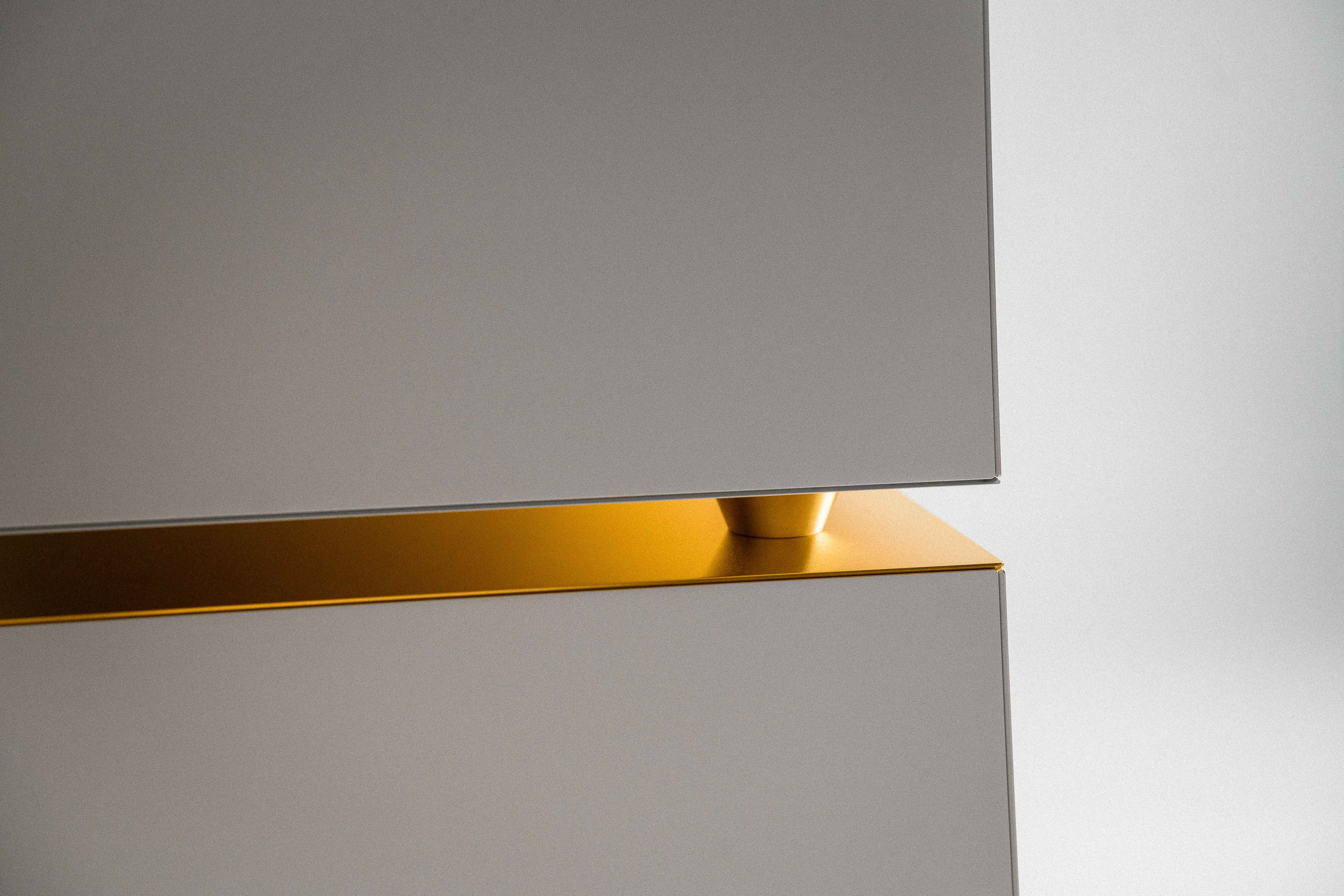 Goldmund Telos 9800 Mono Power Amplifier