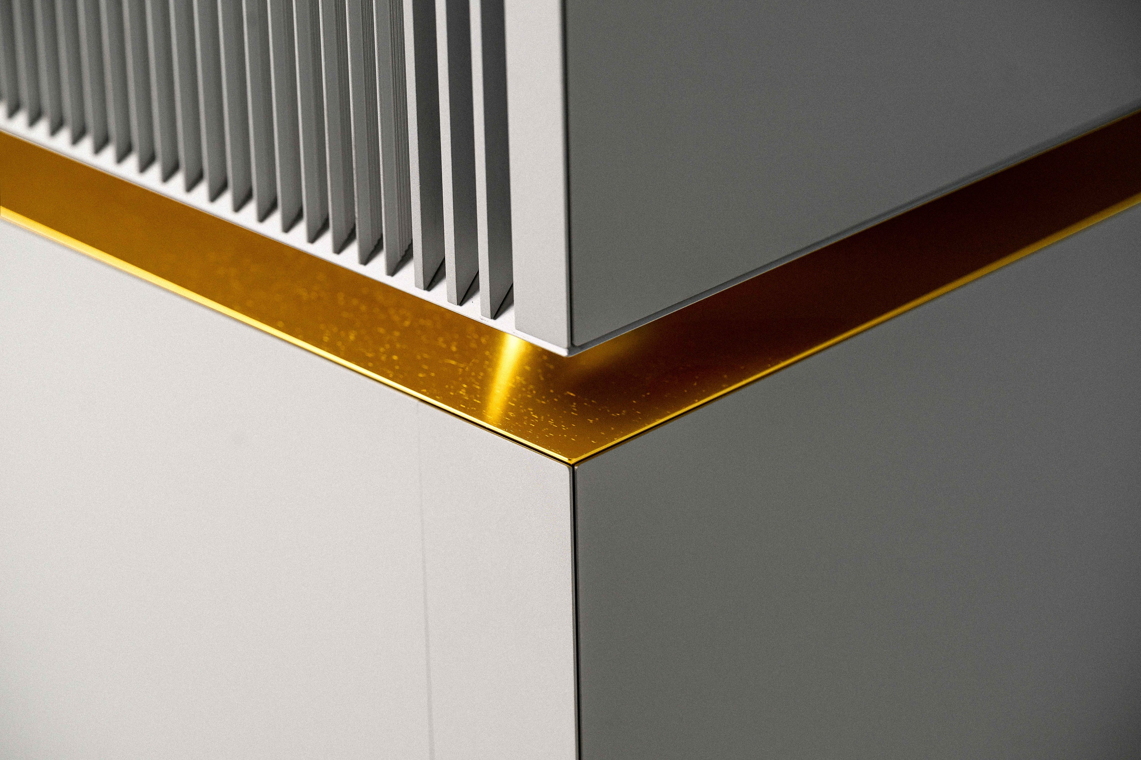 Goldmund Telos 9800 Mono Power Amplifier