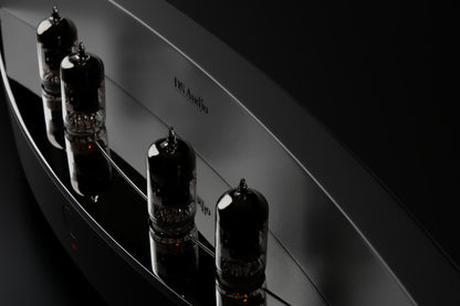 DS Audio TB-100 Tube Phono Equalizer