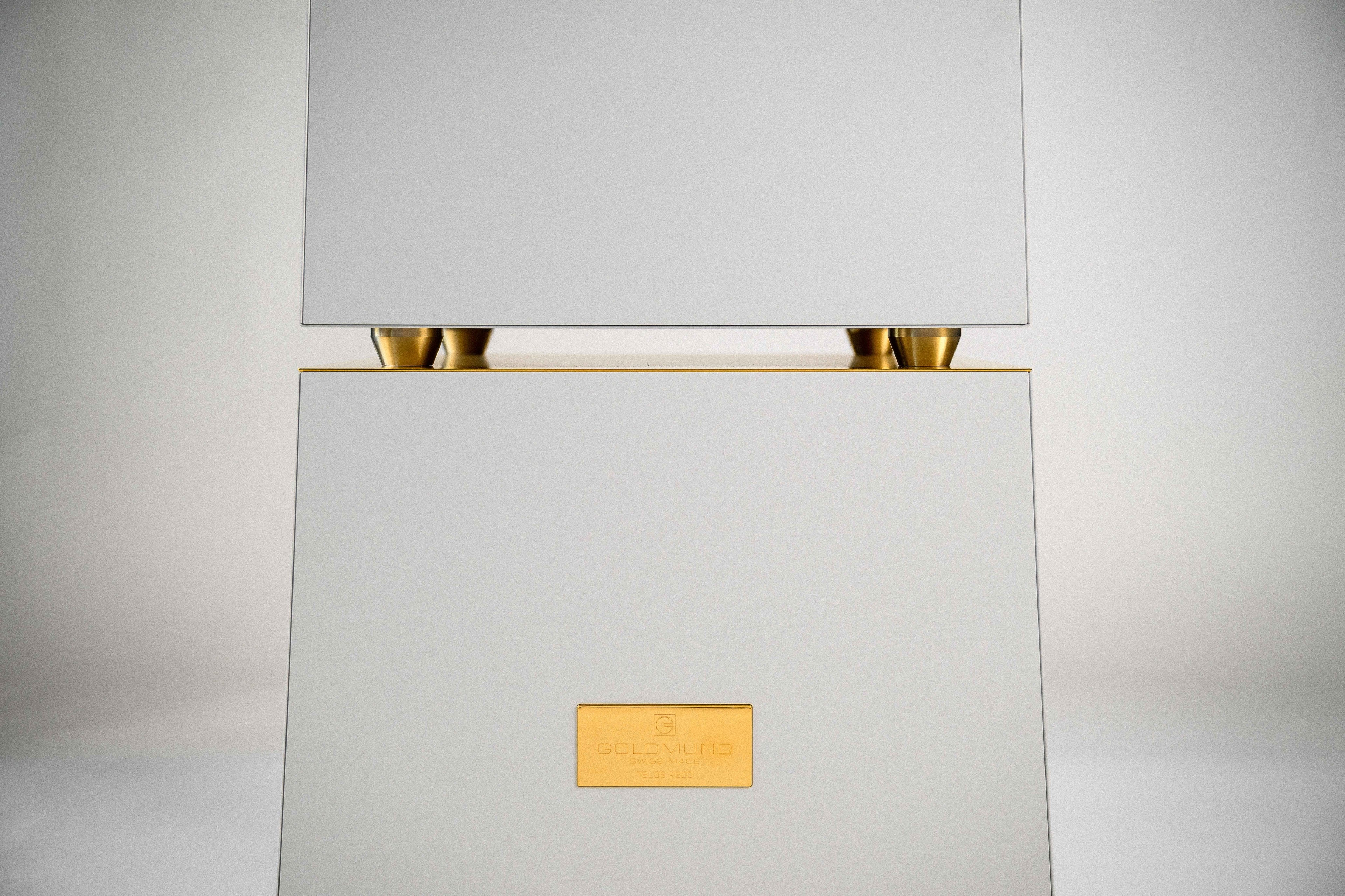 Goldmund Telos 9800 Mono Power Amplifier