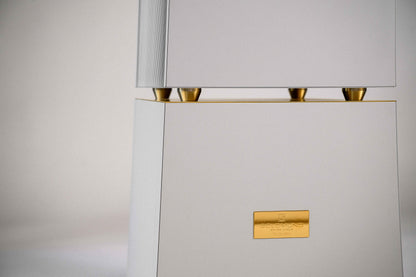 Goldmund Telos 9800 Mono Power Amplifier