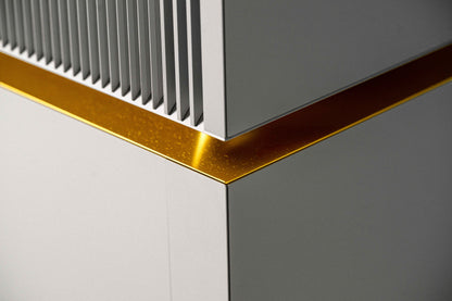 Goldmund Telos 9800 Mono Power Amplifier