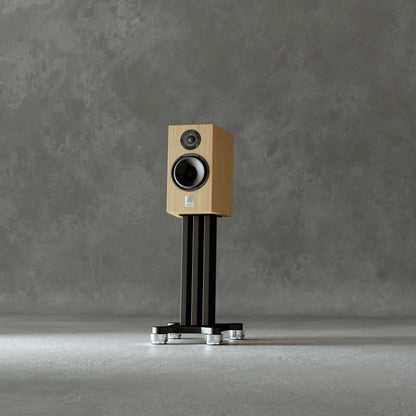 Marten Dexter Duo