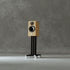 Marten Dexter Duo