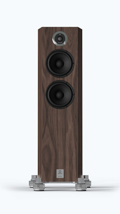 Marten Dexter Trio