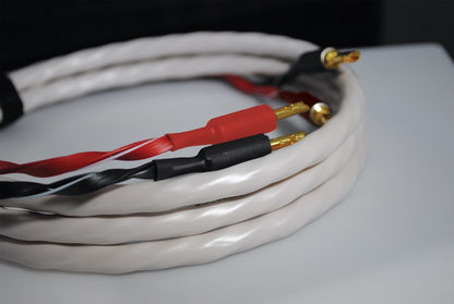 Wireworld Series 10 Speaker Cable